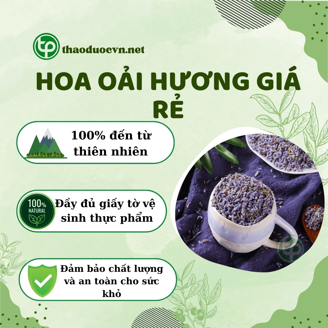 Cam kết khi mua hoa oải hương giá rẻ tại Tấn Phát