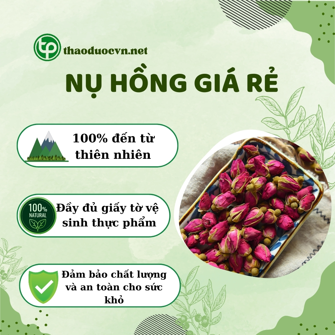 Tấn Phát là địa chỉ bán nụ hồng giá rẻ tại TP.HCM uy tín