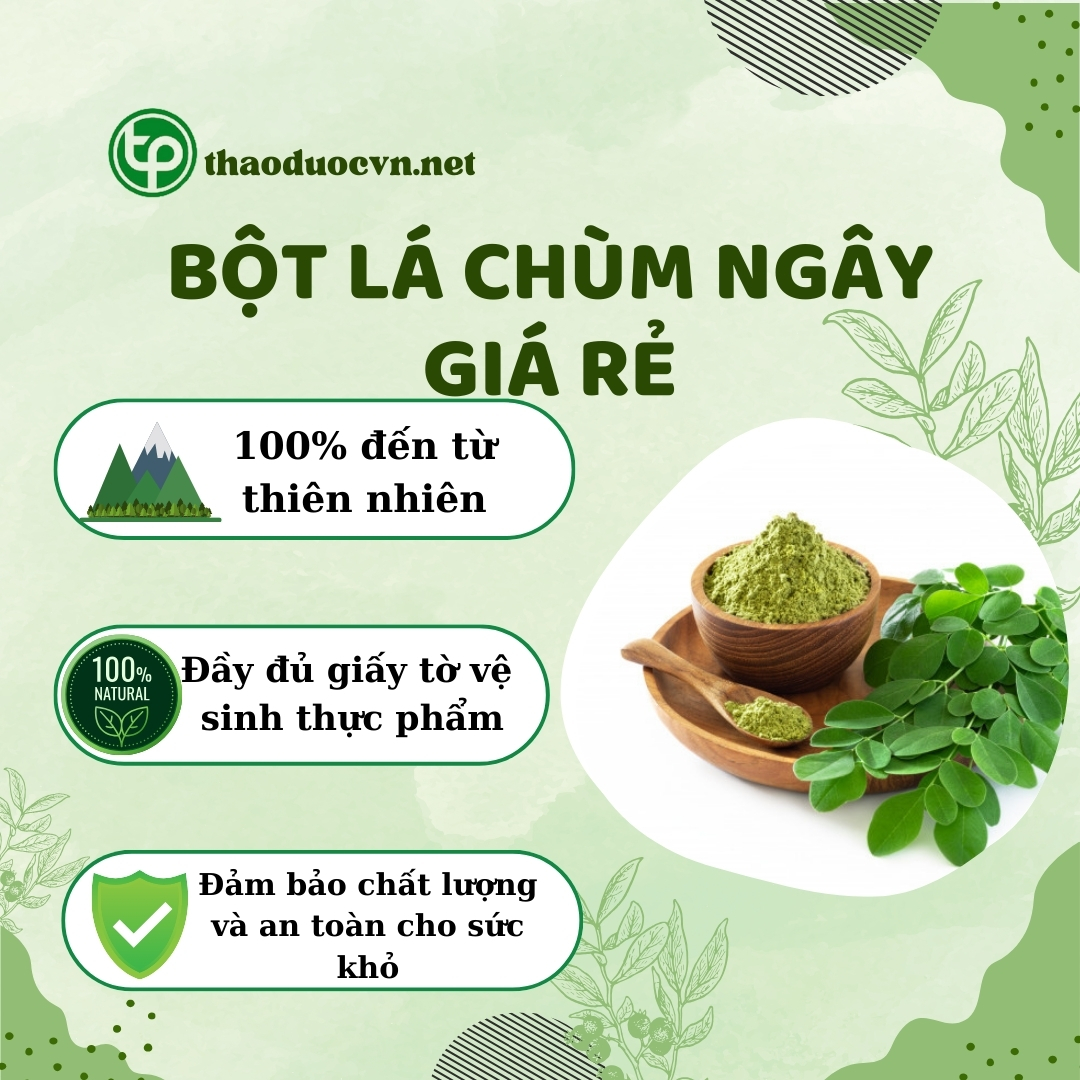 Tấn Phát là địa chỉ bán bột lá chùm ngây giá rẻ tại TP.HCM