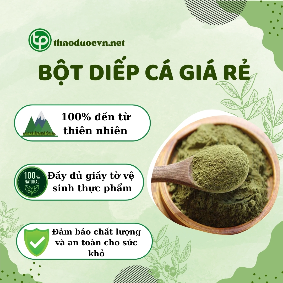 Tấn Phát là địa chỉ bán bột diếp cá giá rẻ tại TP.HCM