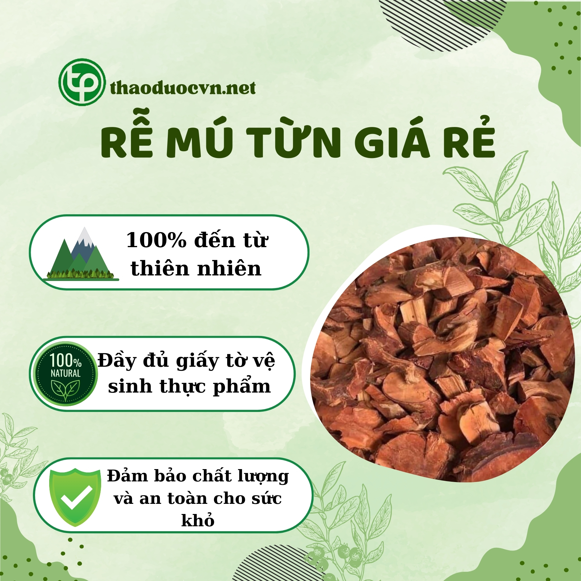 Tấn Phát là địa chỉ bán rễ mú từn giá rẻ tại HCM
