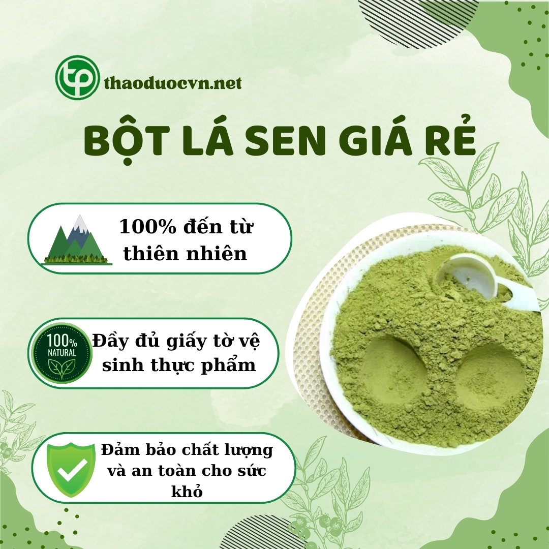 Tấn Phát - địa chỉ bán bột lá sen giá rẻ tại TP.HCM uy tín