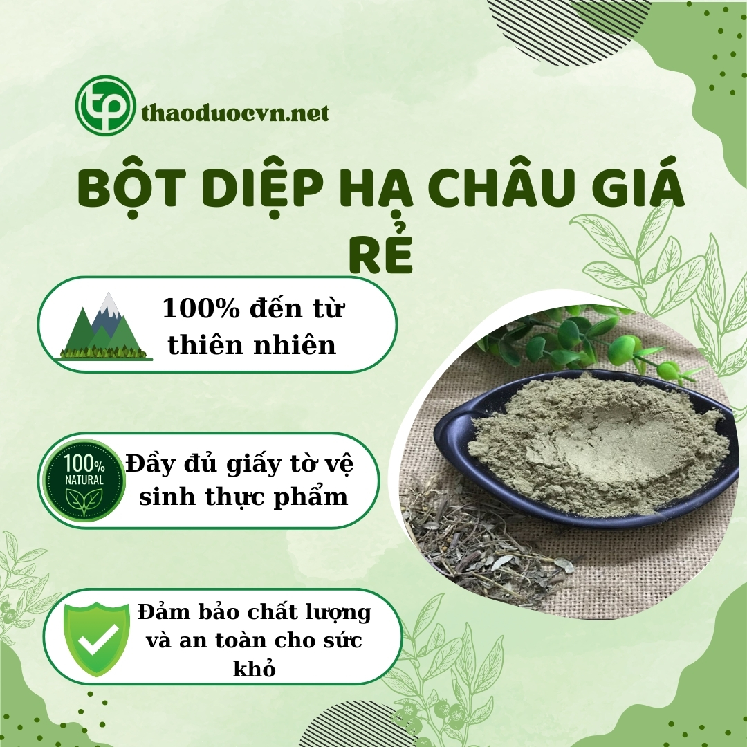 Cam kết khi mua bột diệp hạ châu giá rẻ tại Tấn Phát
