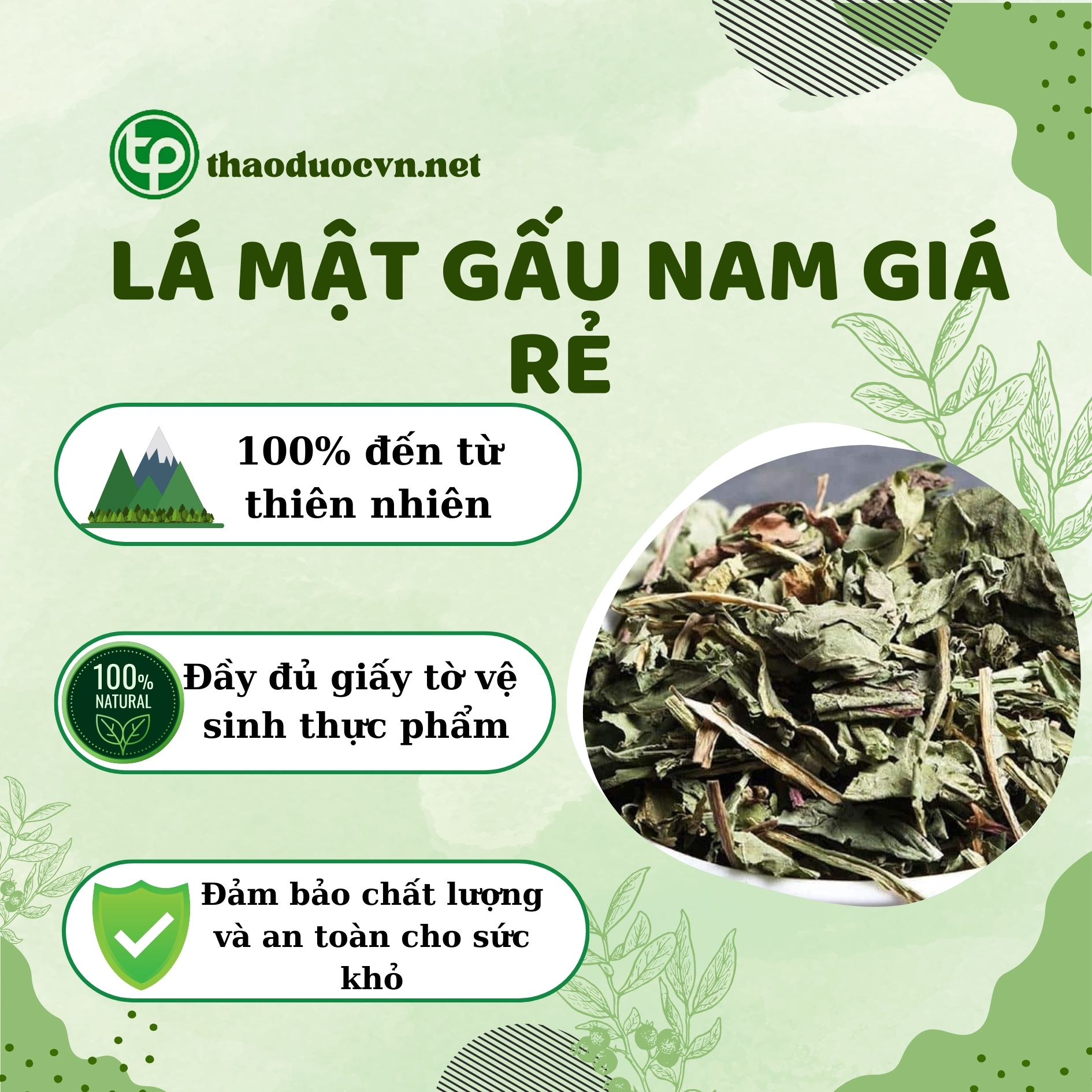 Tấn Phát là địa chỉ bán lá mật gấu nam giá rẻ tại HCM