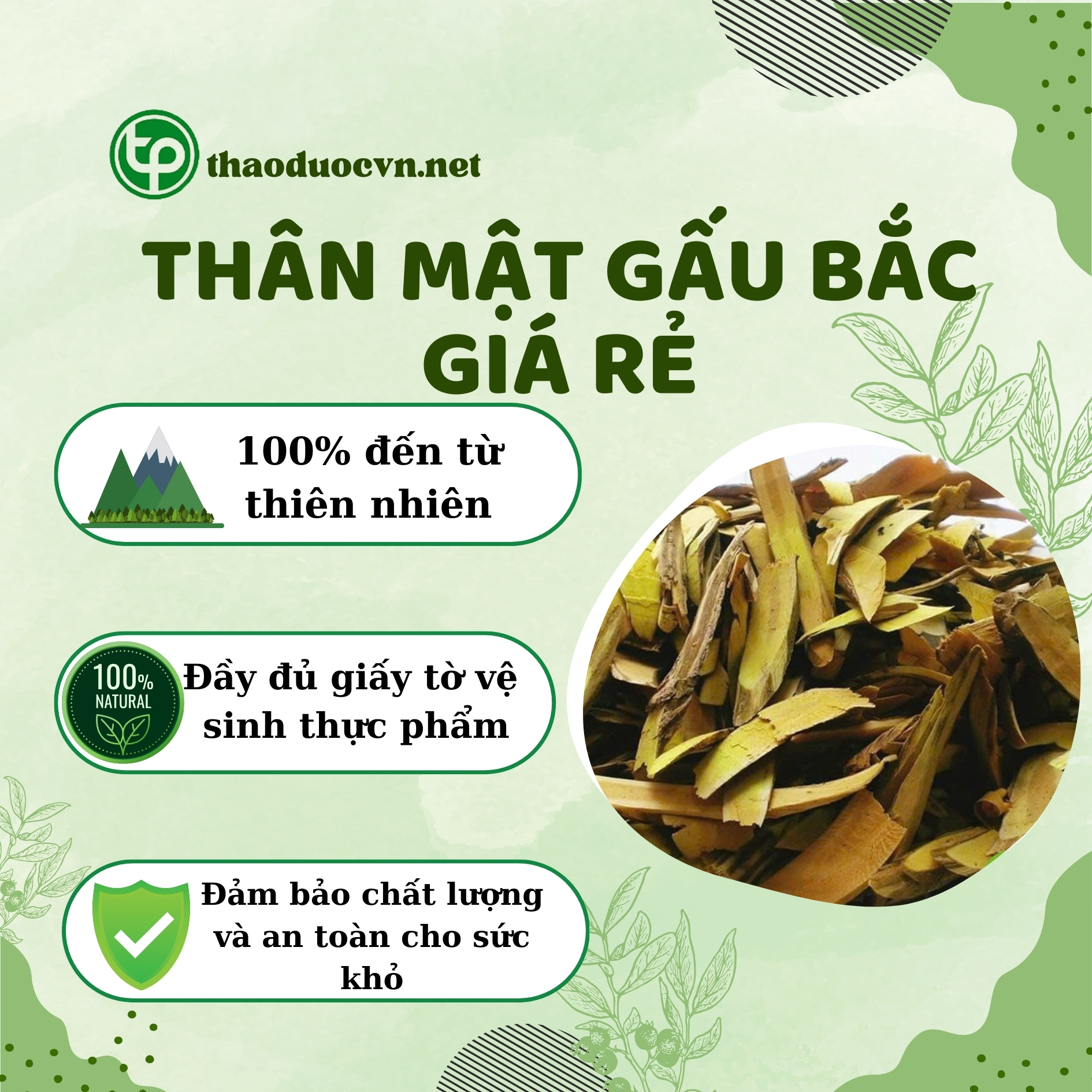 Chính sách mua thân mật gấu bắc giá rẻ tại Tấn Phát