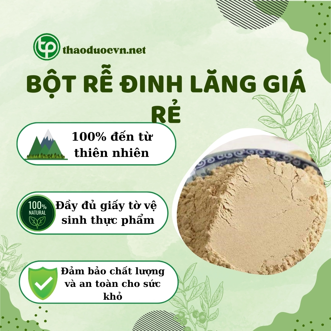 Tấn Phát là địa chỉ bán bột rễ đinh lăng giá rẻ tại TP.HCM