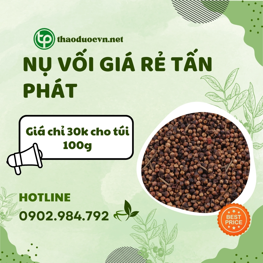 Mua nụ vối giá rẻ tại HCM
