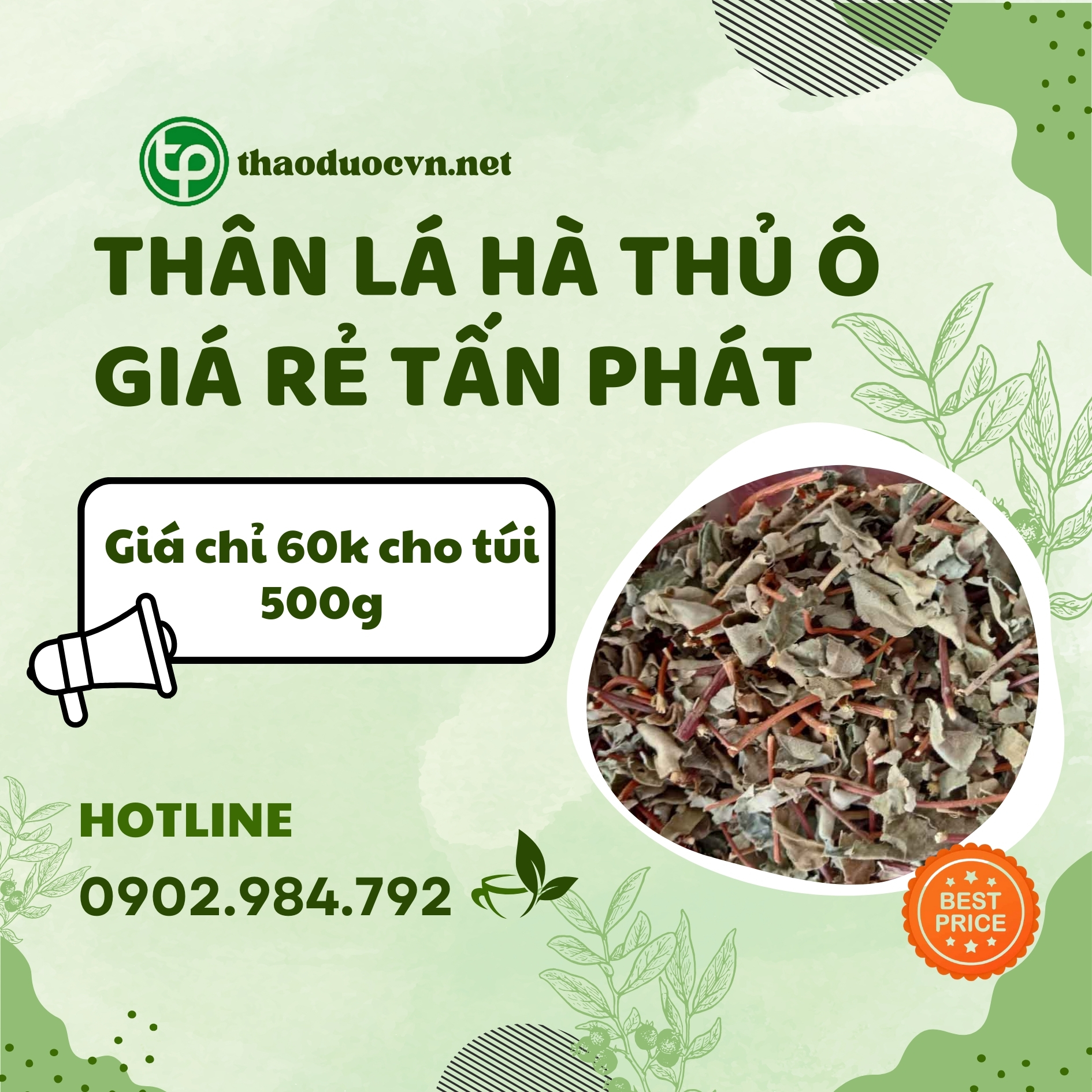 Thân lá hà thủ ô giá rẻ ở HCM