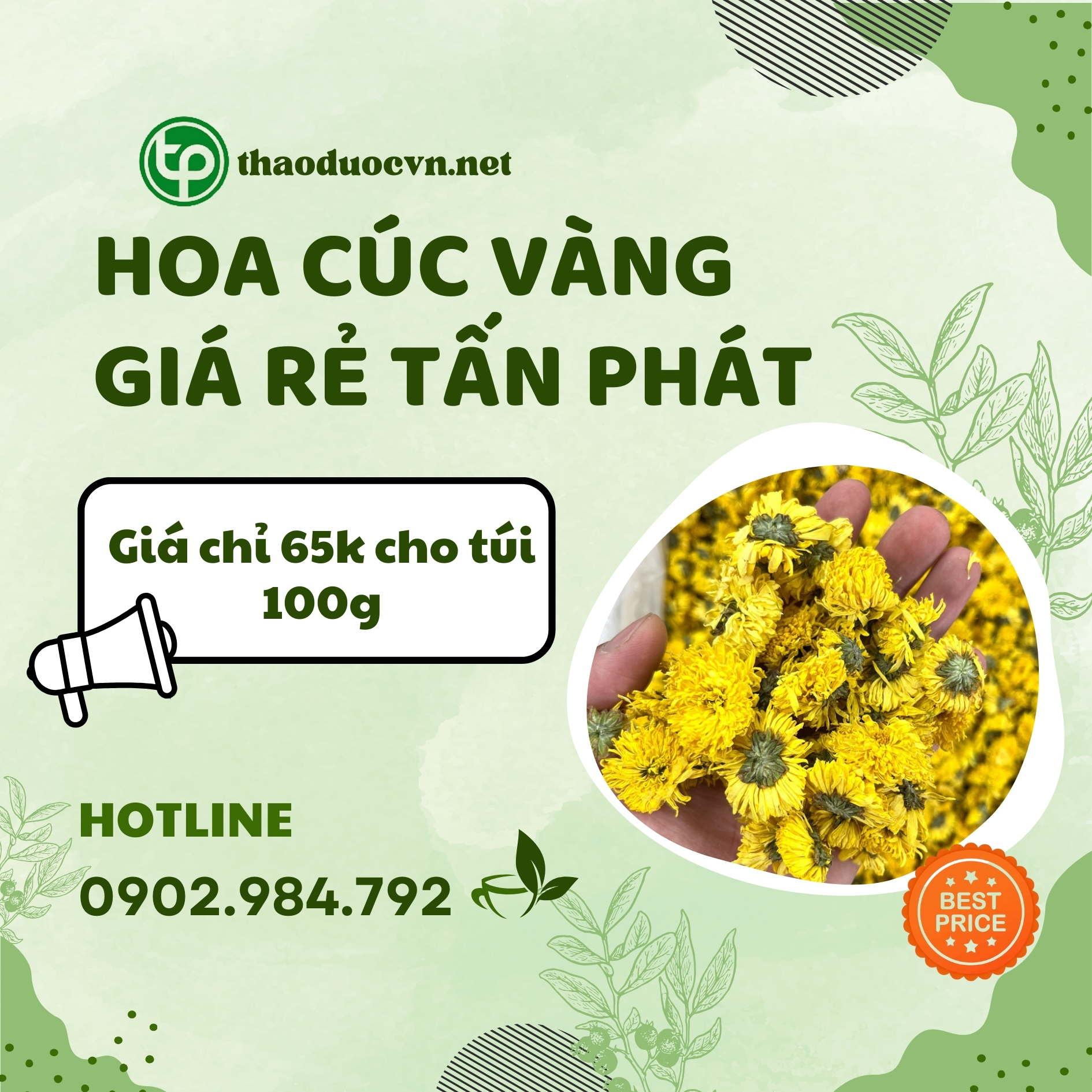 Sản phẩm hoa cúc vàng giá rẻ tại HCM