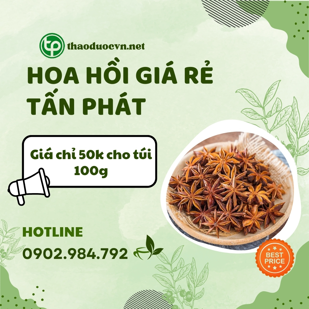 Mua hoa hồi giá rẻ tại HCM