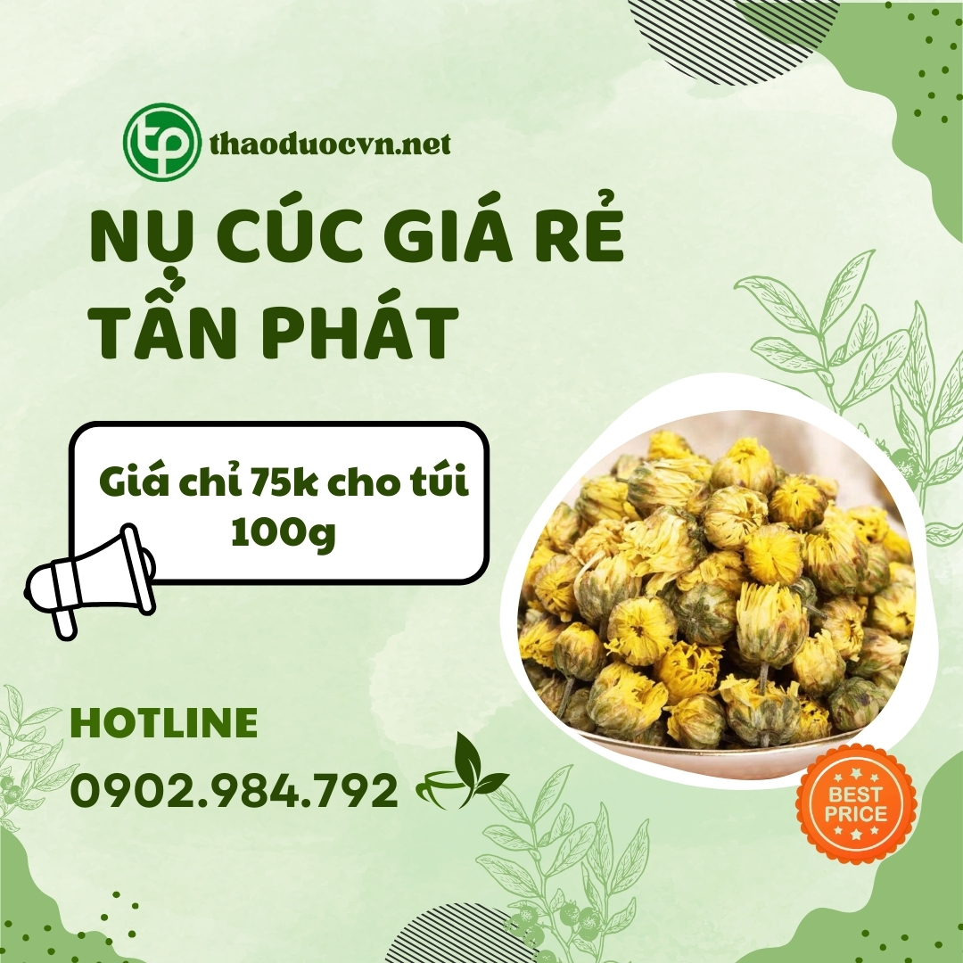 Mua nụ cúc giá rẻ tại HCM