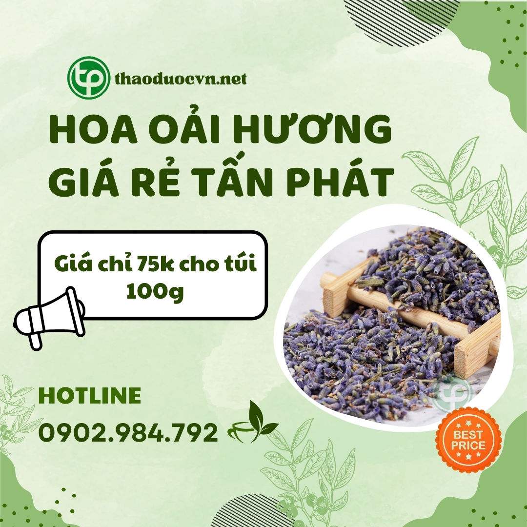 Sản phẩm hoa oải hương giá rẻ tại HCM