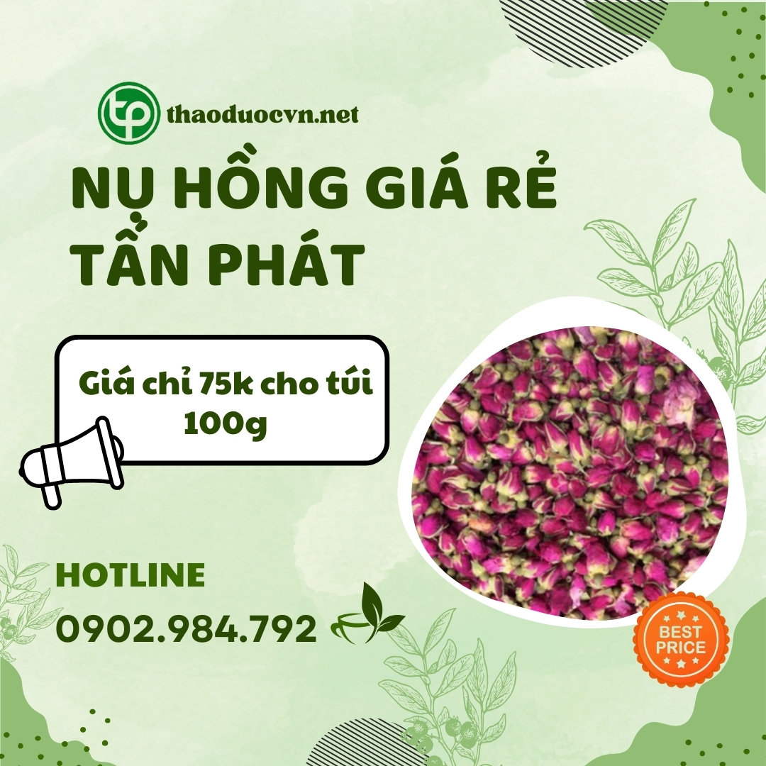 Sản phẩm nụ hồng giá rẻ tại HCM