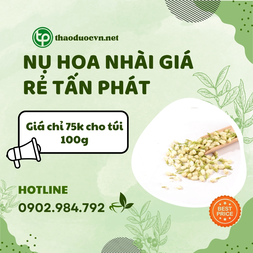 Sản phẩm nụ hoa nhài giá rẻ tại HCM