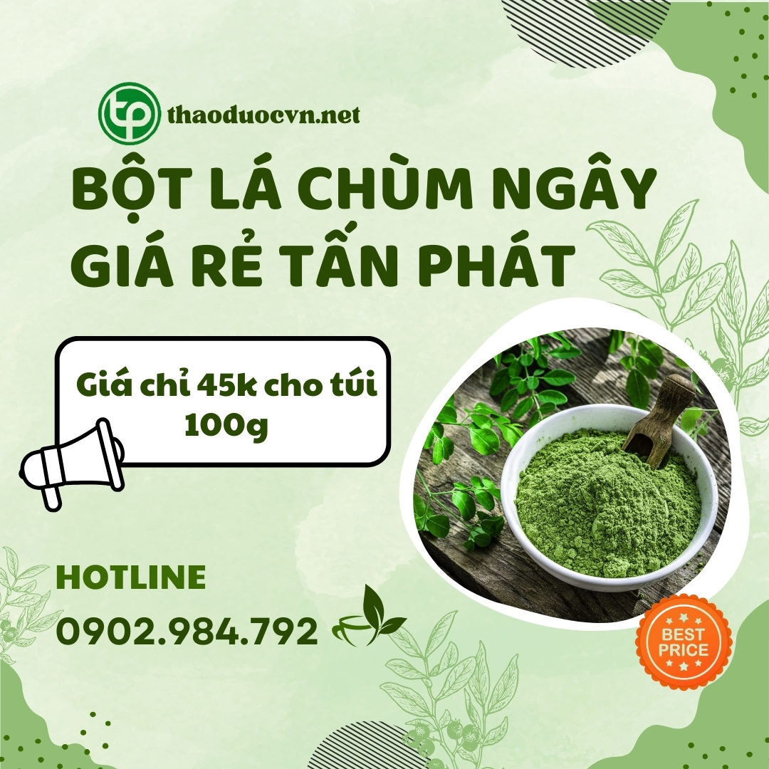 Sản phẩm bột lá chùm ngây giá rẻ tại HCM