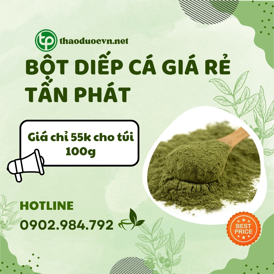 Sản phẩm bột diếp cá giá rẻ tại HCM