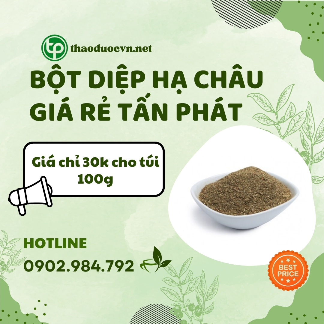 Mua bột diệp hạ châu giá rẻ tại HCM
