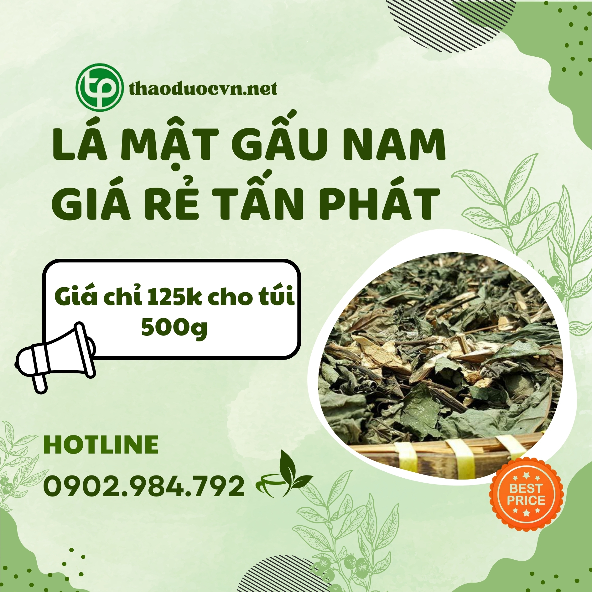Lá mật gấu nam giá rẻ tại TP.HCM