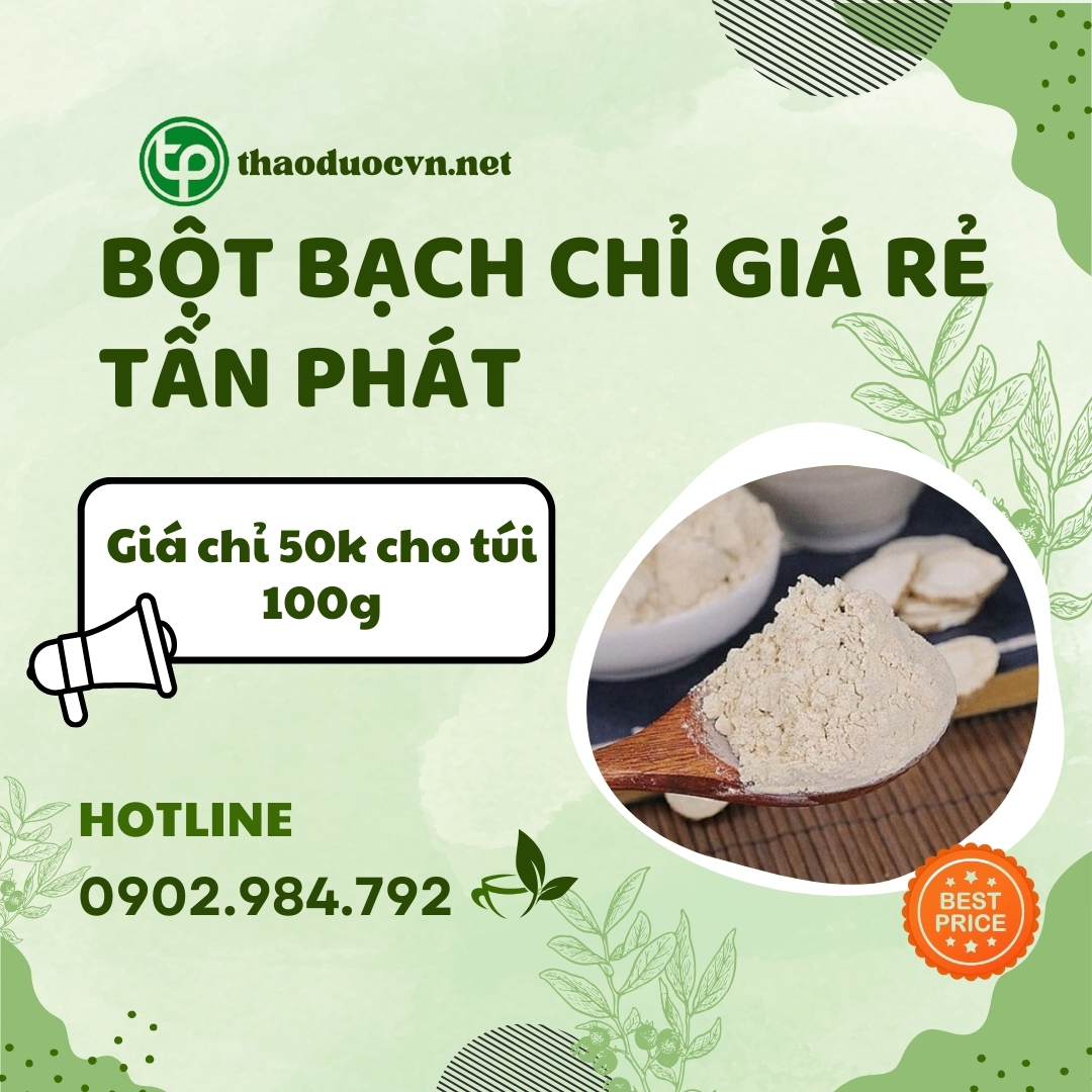 Mua bột bạch chỉ giá rẻ tại HCM