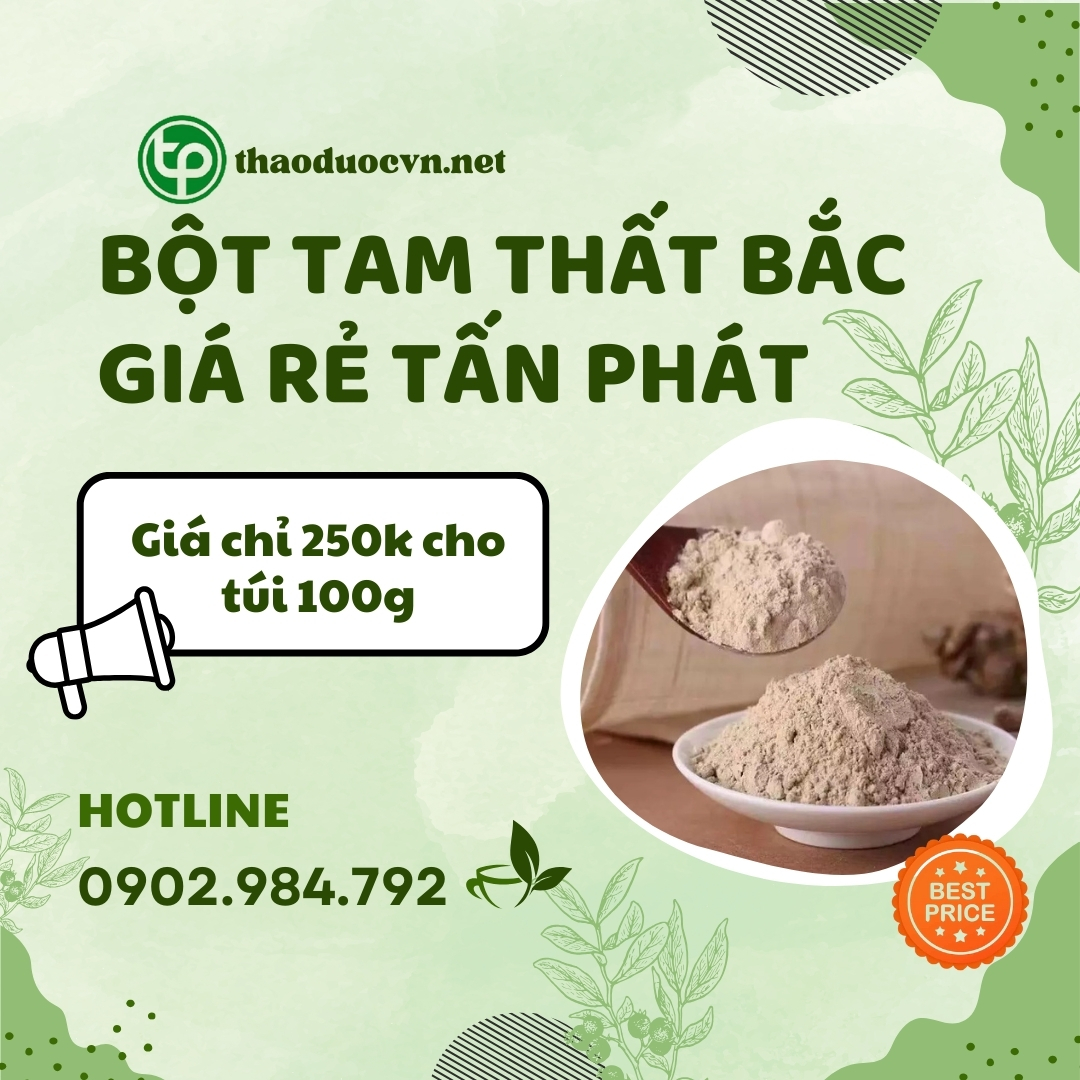 Sản phẩm bột tam thất bắc giá rẻ tại HCM