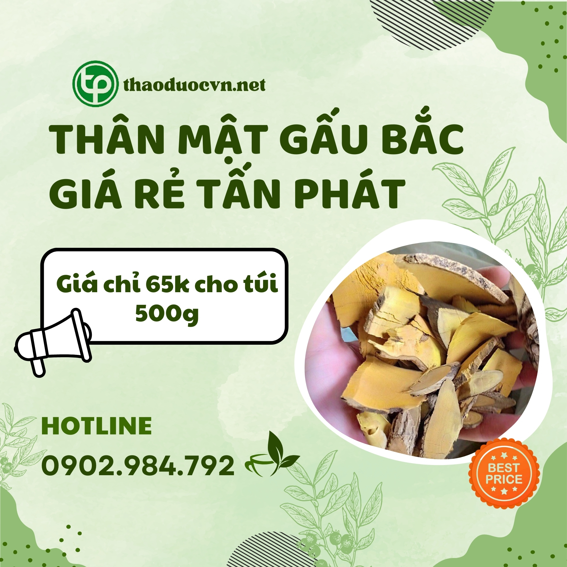 Mua thân mật gấu bắc giá rẻ tại HCM