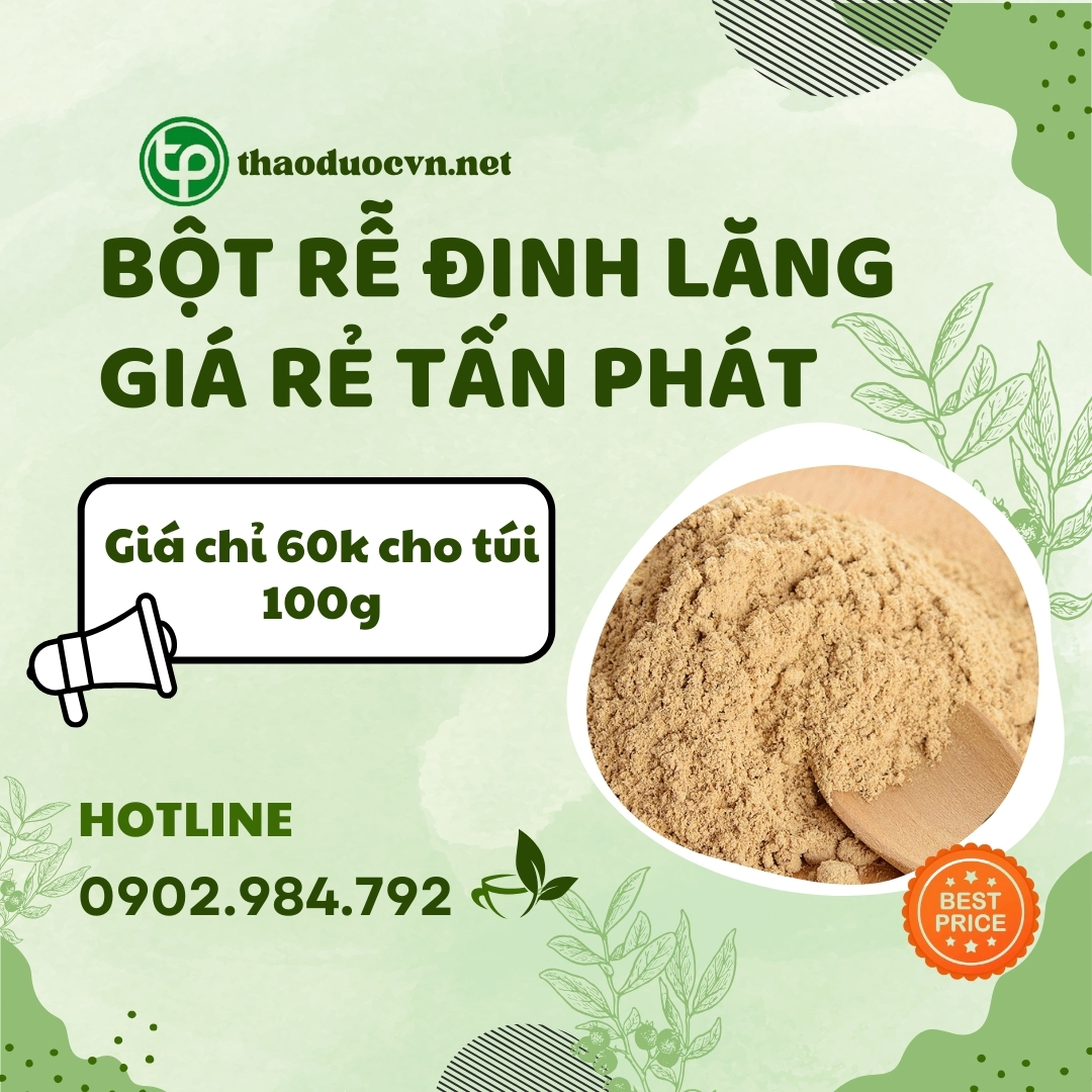 Mua bột rễ đinh lăng giá rẻ tại HCM