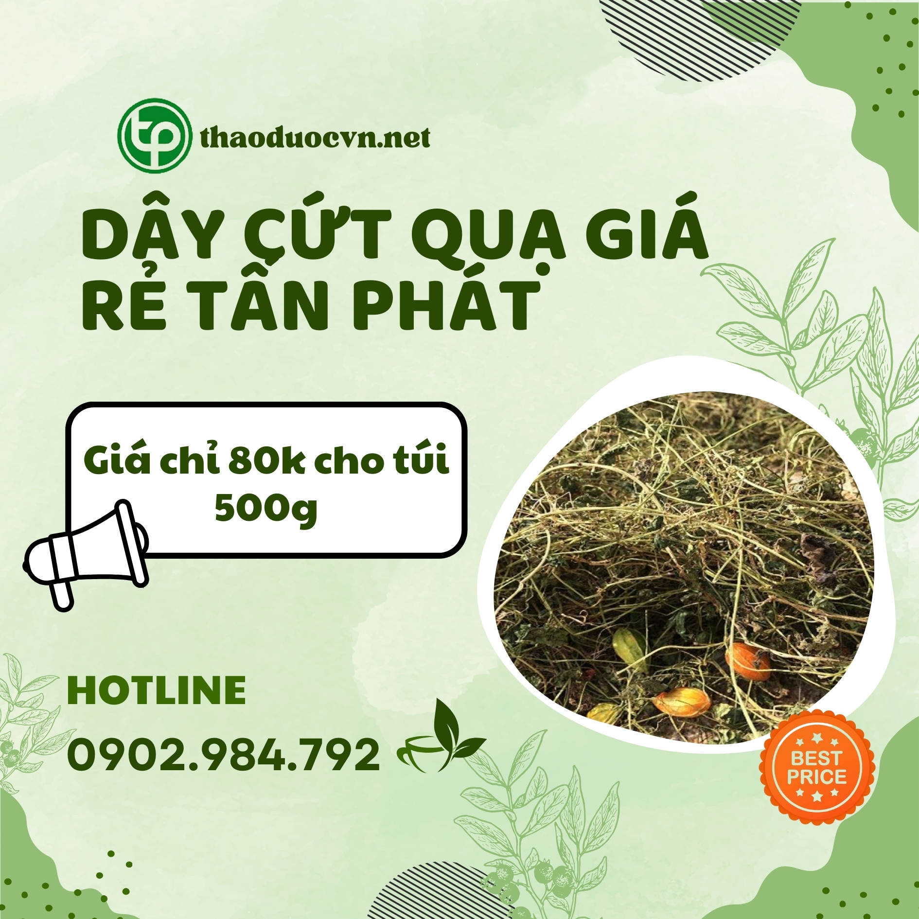 Dây cứt quạ giá rẻ tại HCM
