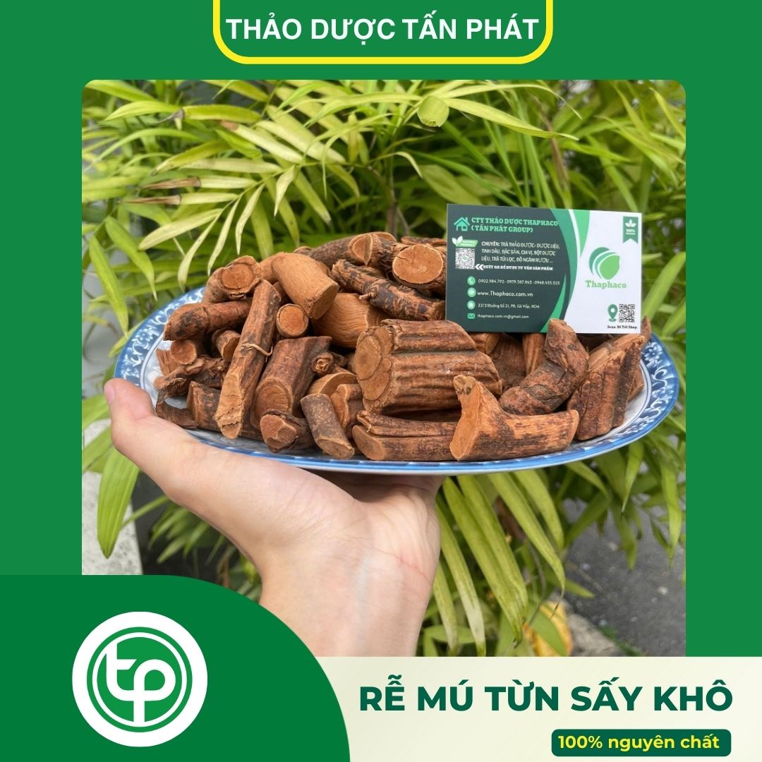 Rễ cây mú từn tấn phát