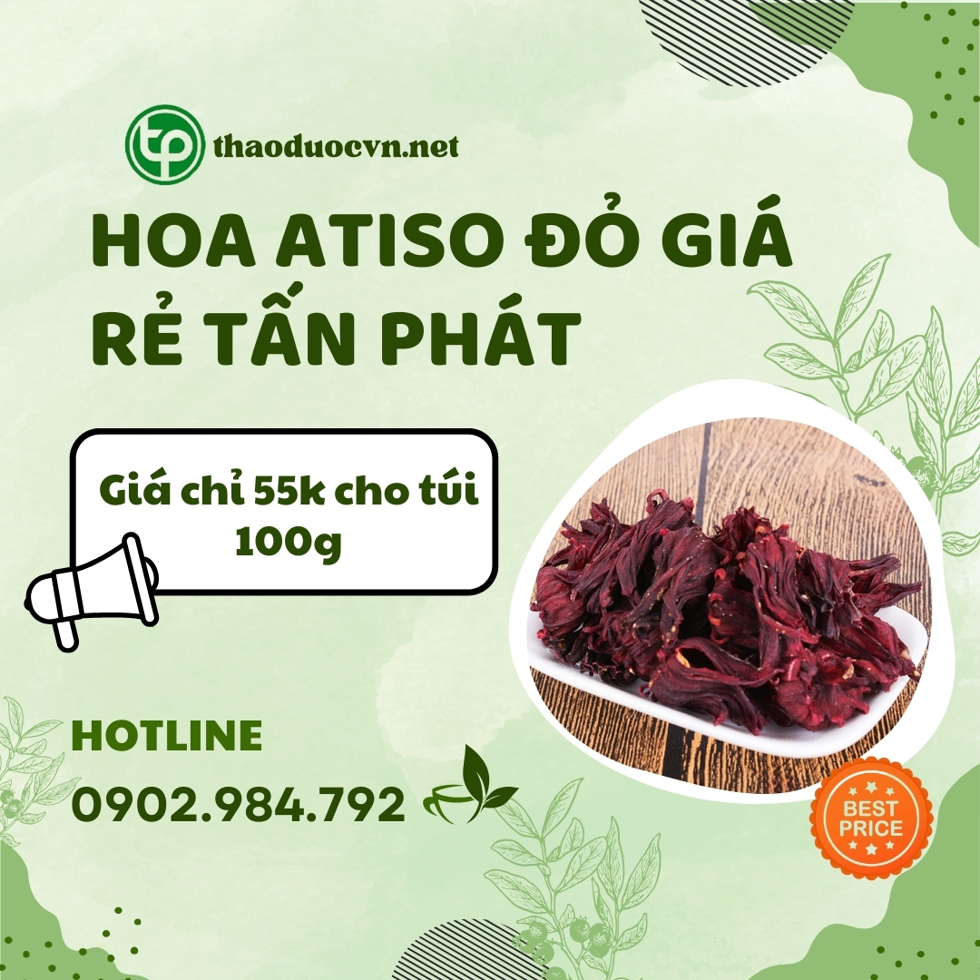 Mua hoa atiso đỏ giá rẻ tại HCM