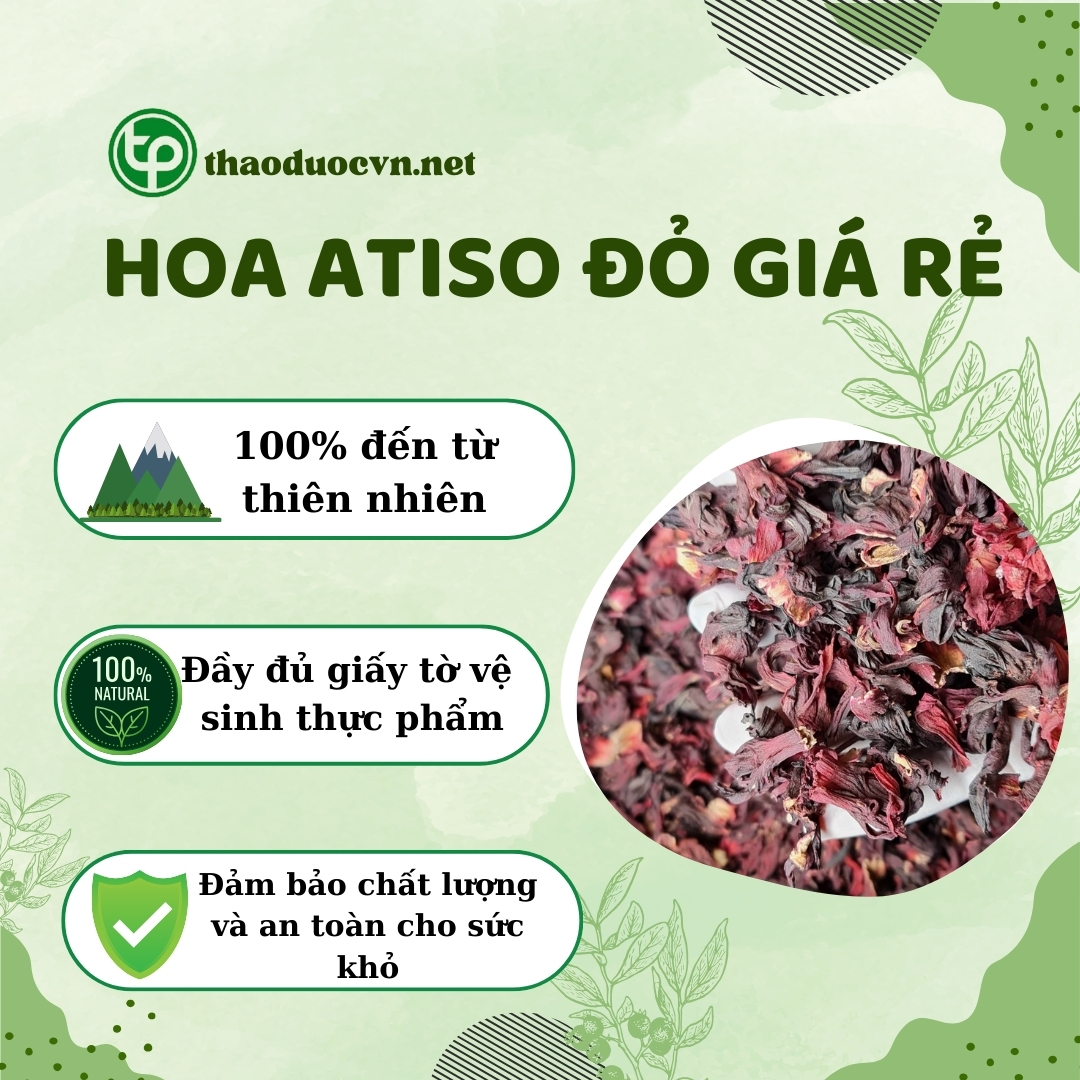 Chính sách ưu đãi khi mua hoa atiso đỏ giá rẻ tại Tấn Phát