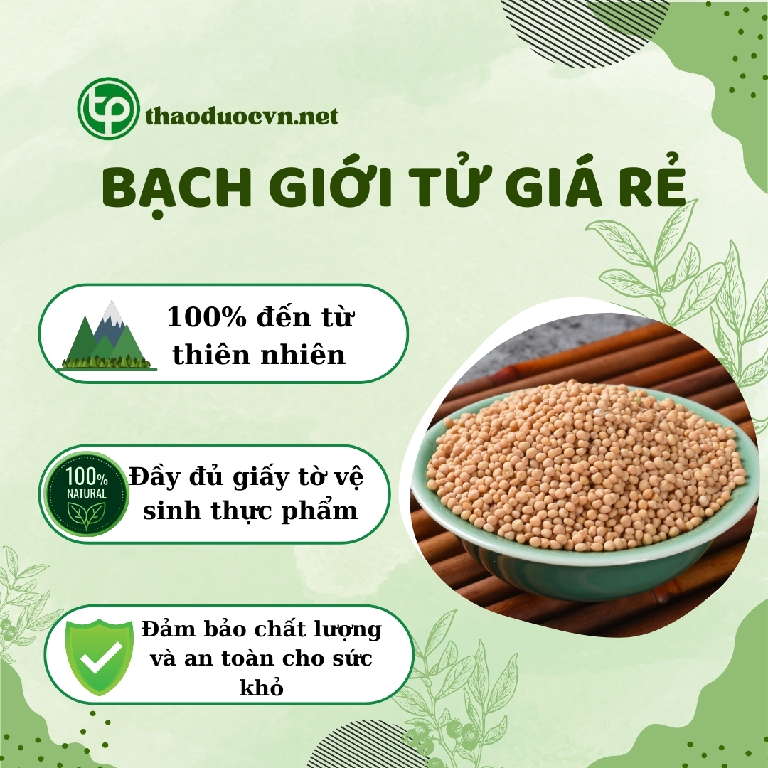 Tấn Phát là địa chỉ bán bạch giới tử giá rẻ tại TP.HCM