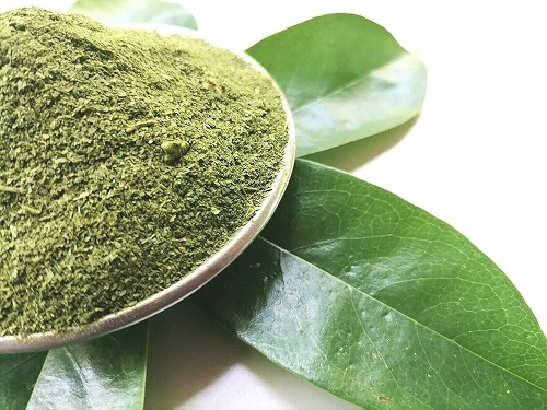 Bột lá mãng cầu tại HCM