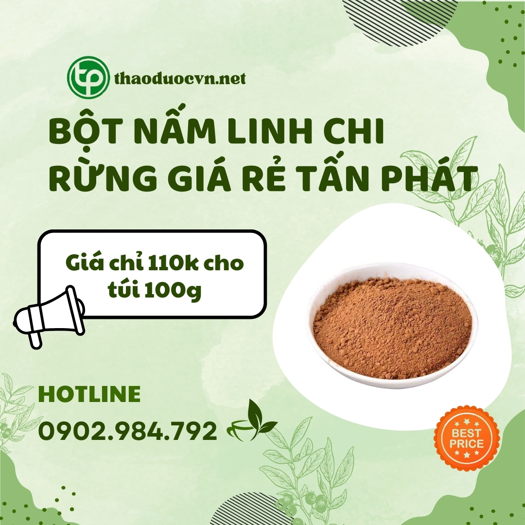 Mua bột nấm linh chi rừng giá rẻ tại HCM