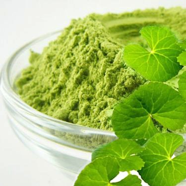 Bột rau má nguyên chất