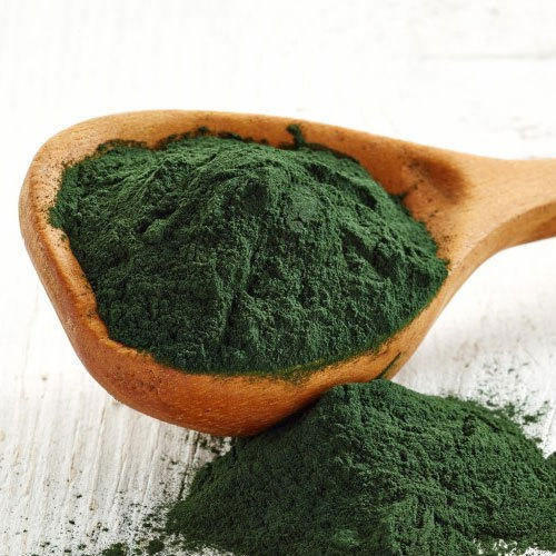 Sản phẩm bột tảo xoăn tại TP.HCM