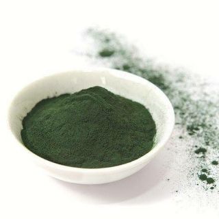 Bột tảo xoăn nguyên chất