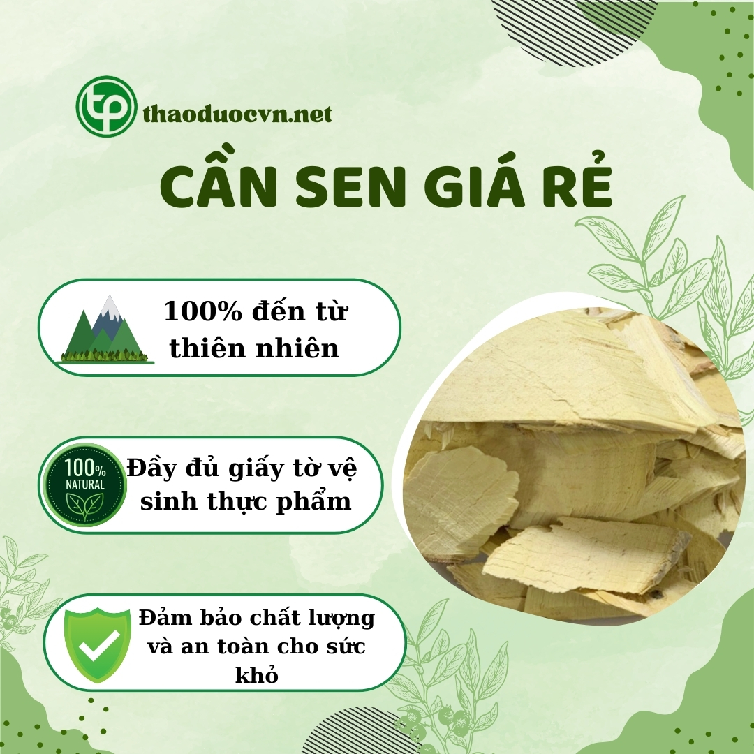 Tấn Phát là địa chỉ bán cần sen giá rẻ tại TP.HCM uy tín