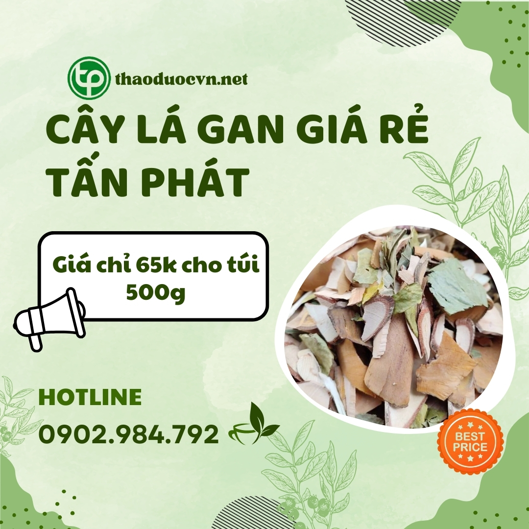 Cây lá gan giá rẻ tại HCM