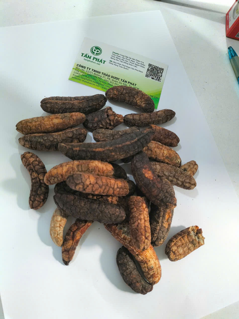 Chuối hột rừng tại TP.HCM