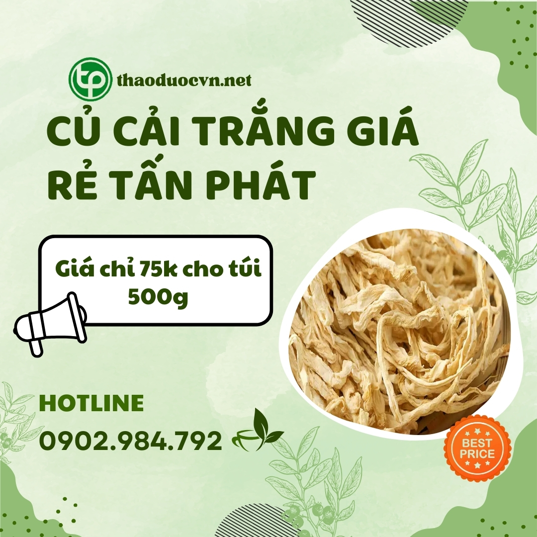 Mua củ cải trắng giá rẻ tại HCM