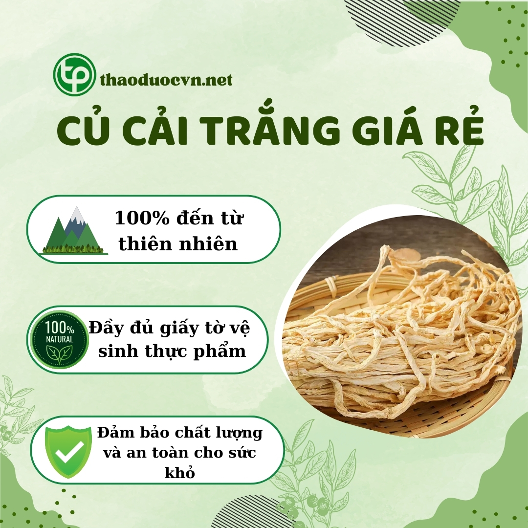 Tấn Phát là địa chỉ bán củ cải trắng giá rẻ tại TP.HCM