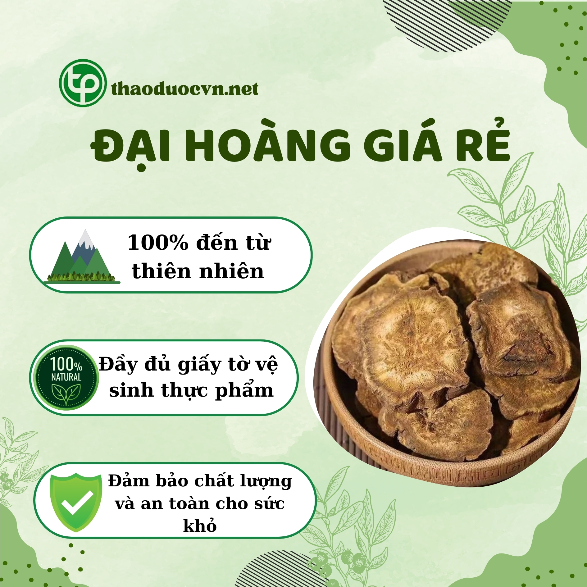 Nơi bán đại hoàng giá rẻ tại TP.HCM uy tín và chất lượng ở đâu ?