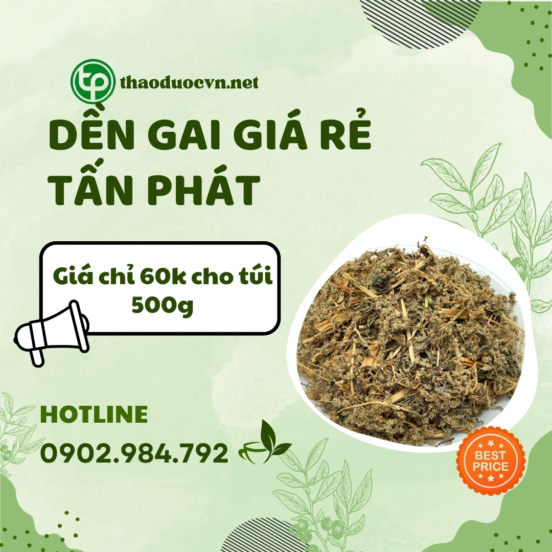 Địa chỉ bán dền gai giá rẻ tại HCM