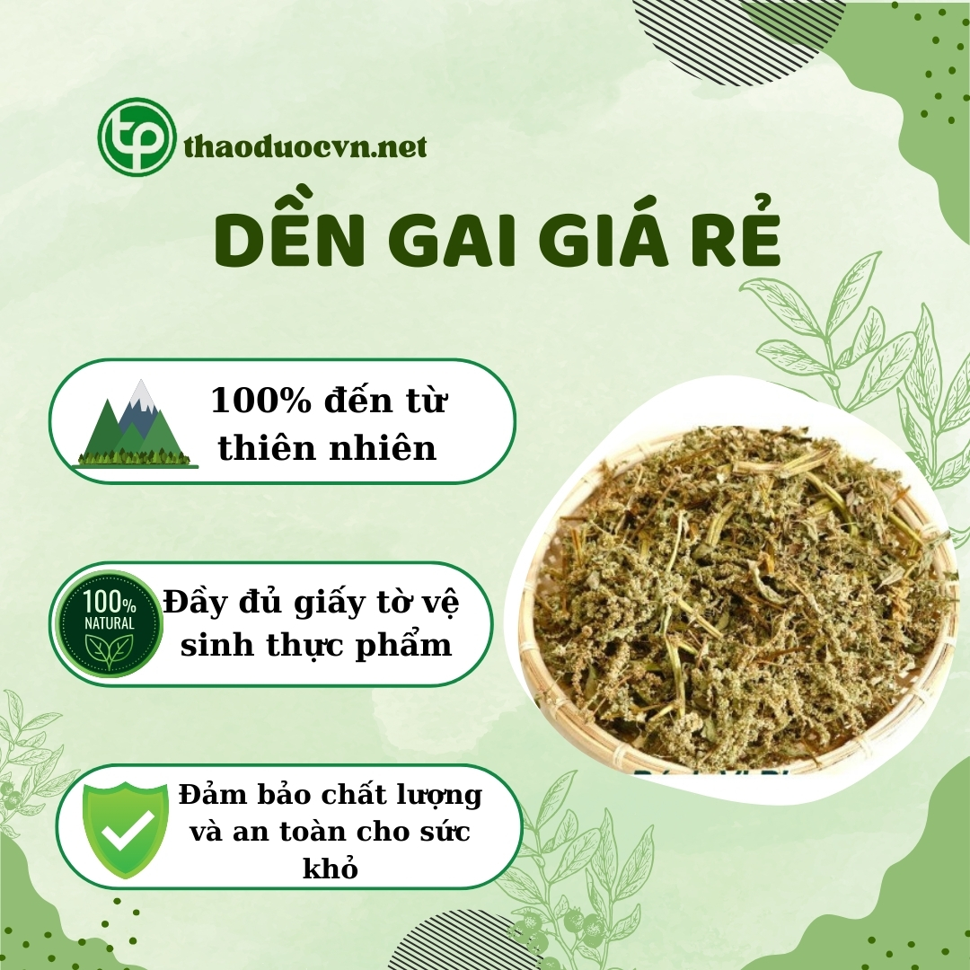 Tấn Phát là địa chỉ bán dền gai giá rẻ tại TP.HCM