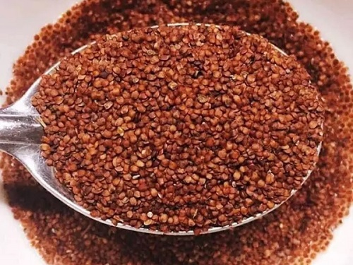 Hạt đình lịch chất lượng cao