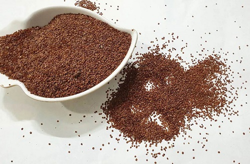 Địa chỉ bán hạt đình lịch tại TP.HCM ở đâu ?