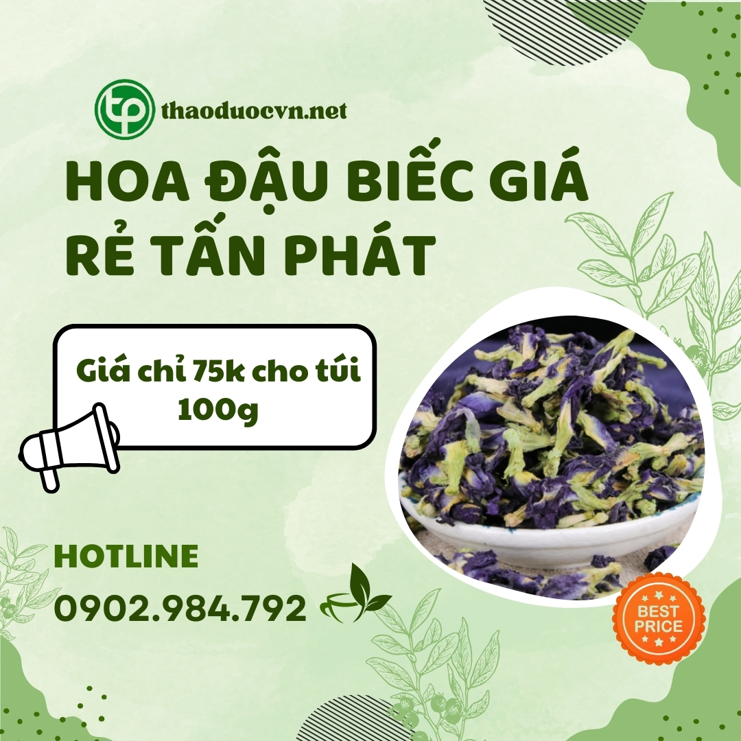 Mua ngay hoa đậu biếc giá rẻ tại HCM