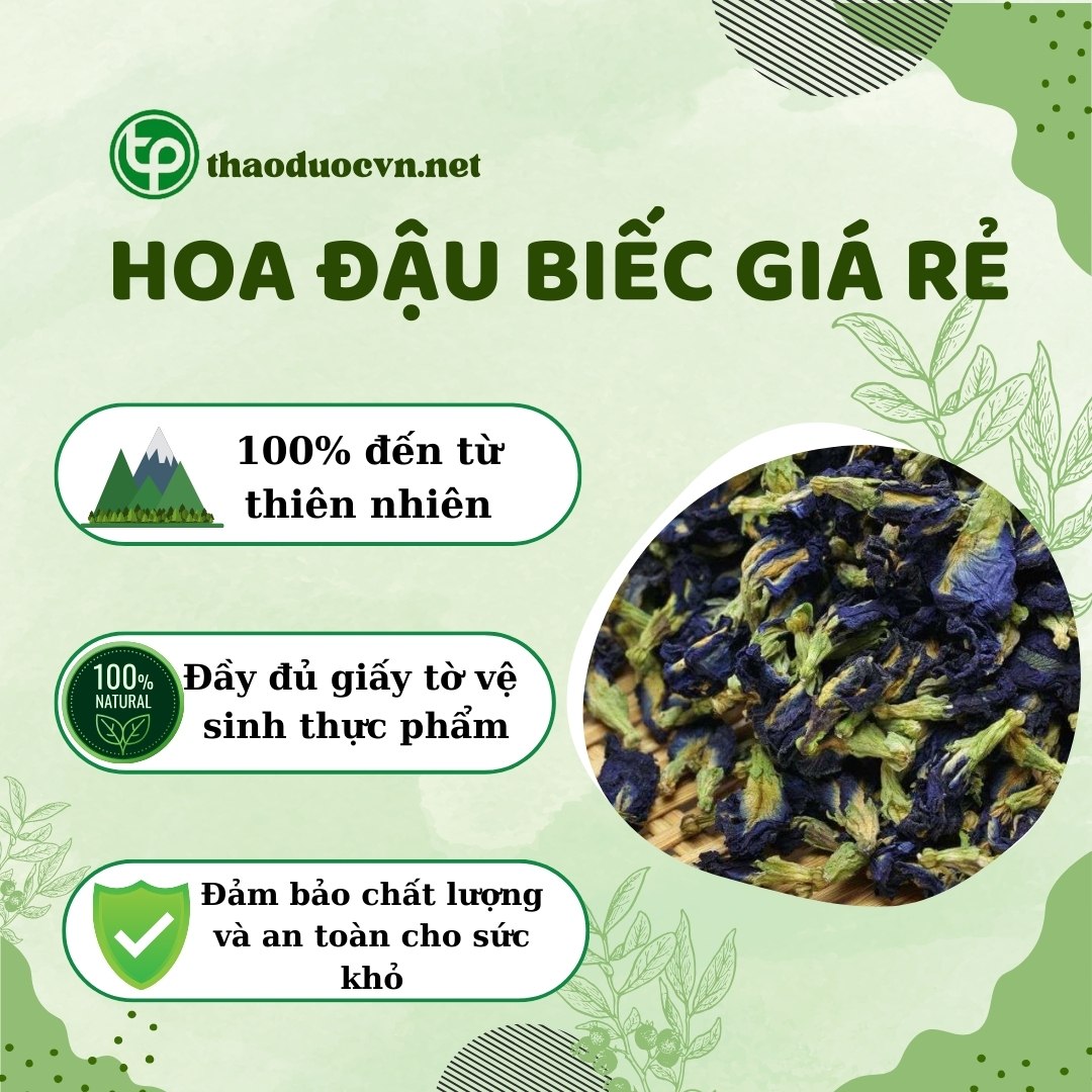 Cam kết khi mua hoa đậu biếc giá rẻ tại Tấn Phát