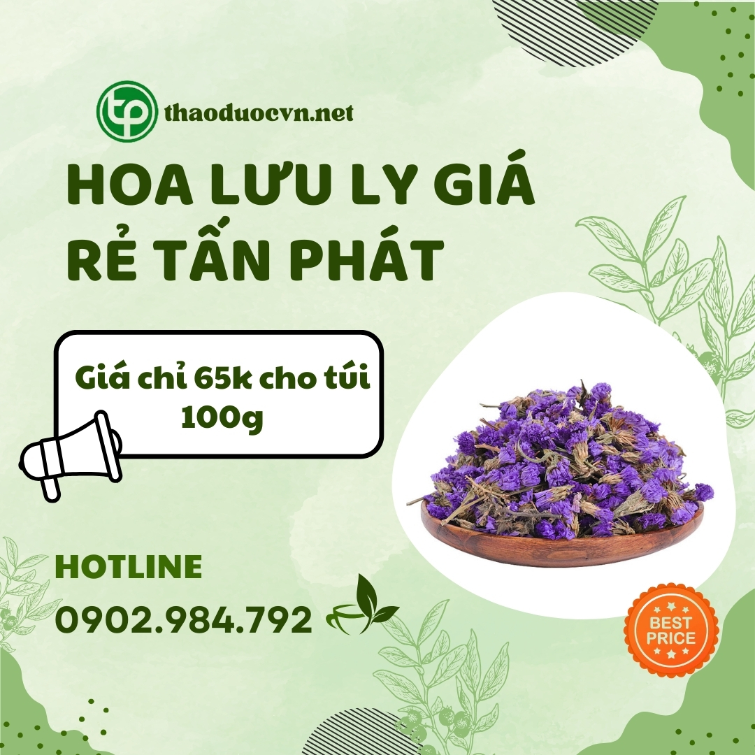 Sản phẩm hoa lưu ly giá rẻ tại HCM