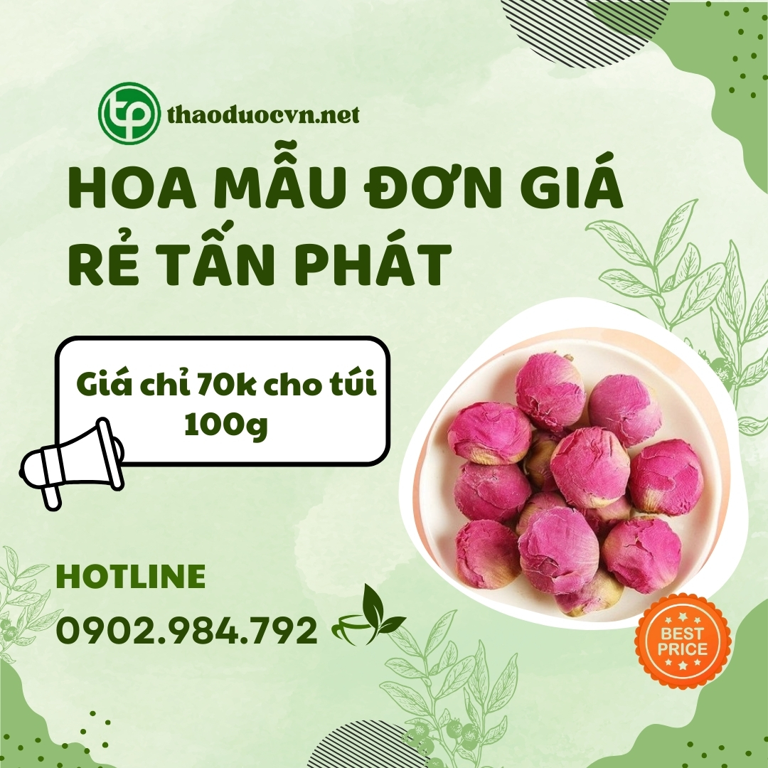 Mua hoa mẫu đơn giá rẻ tại HCM